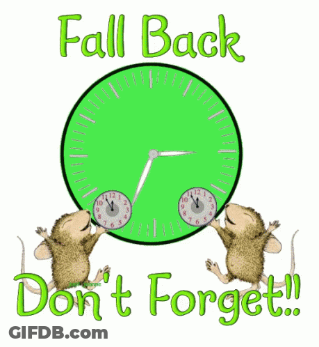 Two Mice Holding Green Clock Saying Fall Back Don't Forget GIF