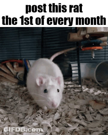 Two Mice On Newspaper Saying Mom GIF