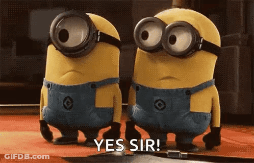 Two Minions Are Standing Next To Each Other And One Of Them Is Saying Yes Sir . GIF