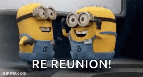 Two Minions Wearing Goggles Are Standing Next To Each Other With The Words `` Re Reunion '' . GIF