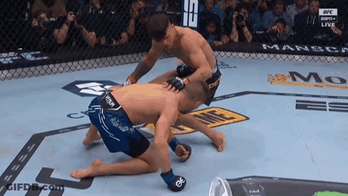 Two Mma Fighters Are Fighting In A Cage And One Of Them Is Wearing Shorts That Say Tony GIF
