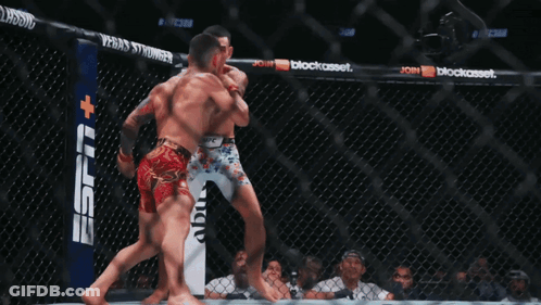 Two MMA Fighters Fighting In Cage With ESPN GIF
