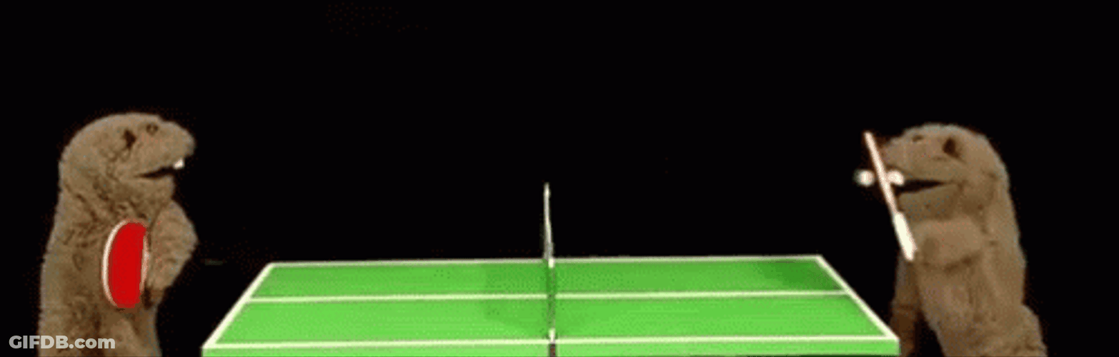 Two Moles Playing Ping Pong GIF