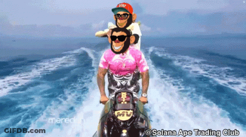 Two Monkeys Are Riding A Jet Ski In The Ocean With The Words Solana Ape Trading Club Below Them GIF