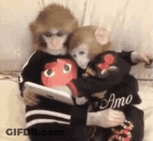 Two Monkeys Are Sitting Next To Each Other On A Couch . One Of The Monkeys Is Holding A Tablet . GIF