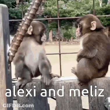 Two Monkeys Are Sitting On A Wooden Fence With The Words Alexi And Meliz Below Them . GIF