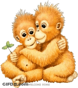 Two Monkeys Hugging Welcome Home GIF