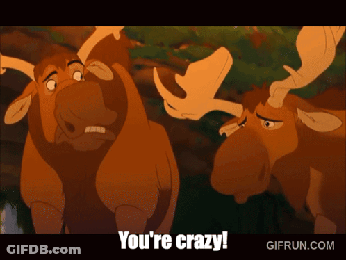 Two Moose Are Standing Next To Each Other With The Words You 'Re Crazy On The Bottom GIF