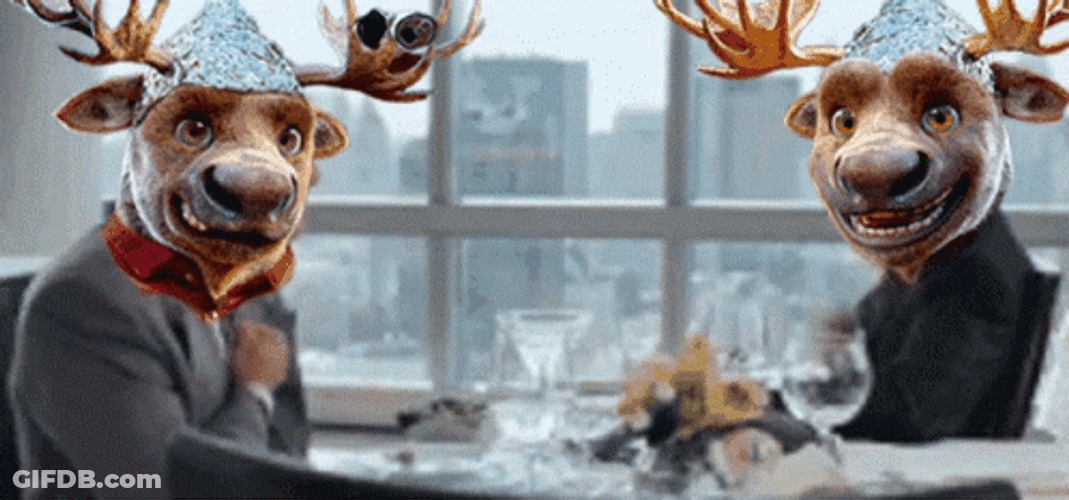 Two Moose Heads Wearing Tin Hat GIF