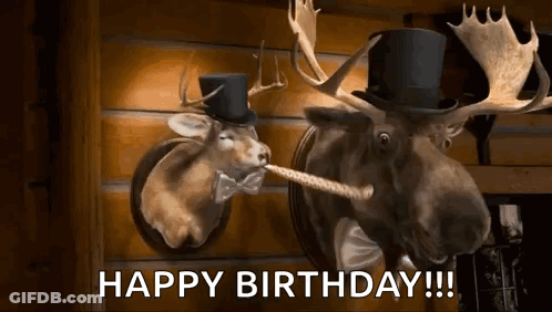 Two Moose Heads Wearing Top Hats And Bow Ties Are On A Wall . GIF