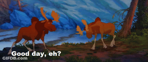 Two Moose Saying How's It Going Eh GIF