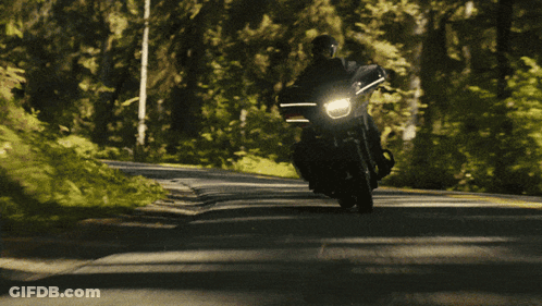 Two Motorcycle Riders On Wooded Road GIF