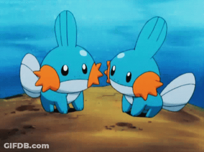 Two Mudkip Talking Each Other GIF
