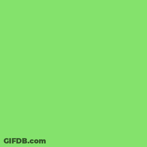 Two Mugs Filled With Gold Coins And A Clover And A Rainbow GIF