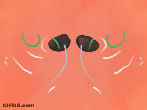 Two Mushrooms With Green Stems GIF