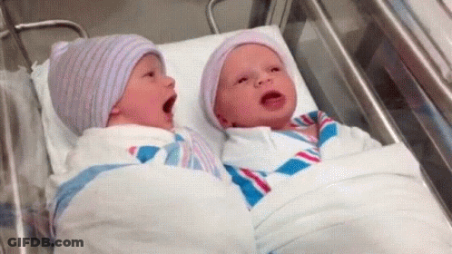 Two Newborn Babies Are Laying In A Hospital Crib . GIF