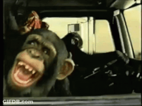 Two Nickelodeon Cartoon Characters Oh Yeah GIF