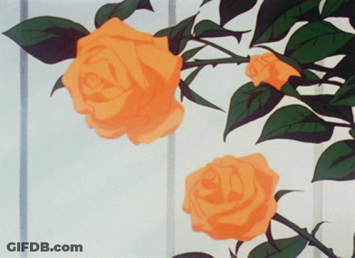 Two Orange Roses Are Hanging From A Tree Branch GIF