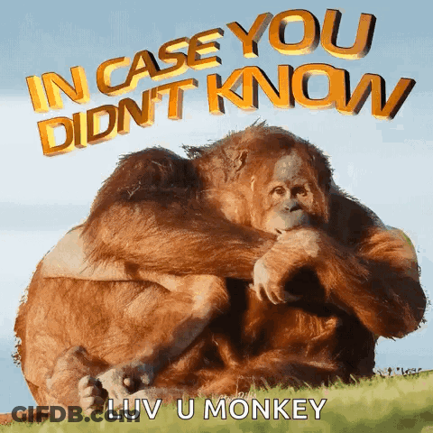 Two Orangutans Hugging In Case You Didn't Know GIF