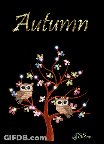 Two Owls In Tree Saying Autumn In Gold GIF