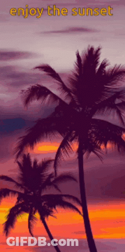 Two Palm Trees Silhouetted Against Sunset Saying Enjoy The Sunset GIF