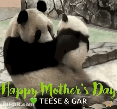 Two Pandas Hugging On Mother's Day GIF