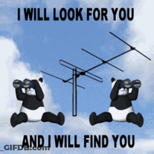 Two Pandas Use Binoculars To Search GIF