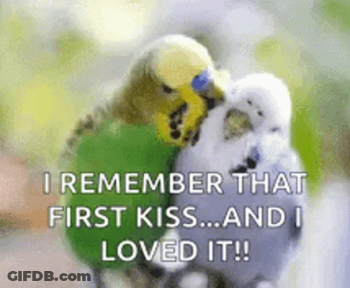Two Parakeets Kissing Each Other With The Words `` I Remember That First Kiss ... And I Loved It '' . GIF
