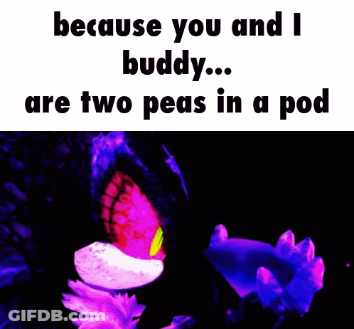 Two Peas In A Pod Buddy GIF