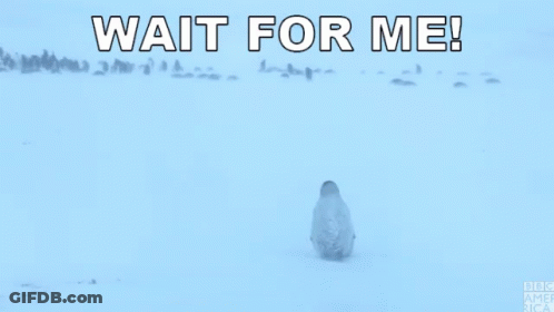 Two Penguins Are Standing In The Snow With The Words Wait For Me GIF