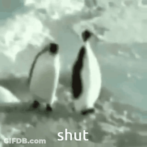 Two Penguins Are Standing Next To Each Other On A Snowy Hill . GIF