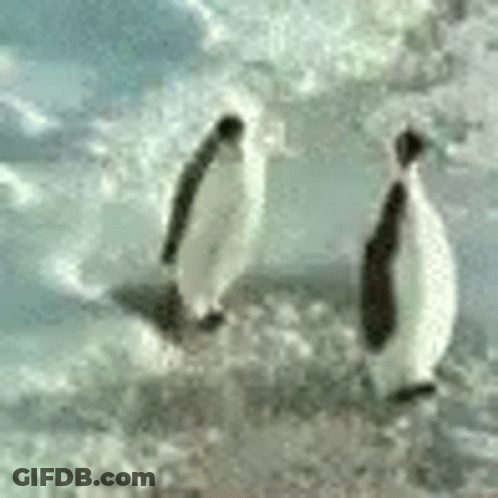 Two Penguins Are Standing On Top Of A Snow Covered Iceberg . GIF