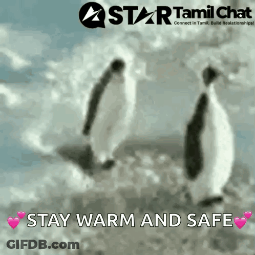 Two Penguins Are Walking In The Snow With The Words " Stay Warm And Safe " Below Them GIF