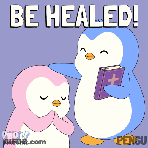 Two Penguins Be Healed GIF