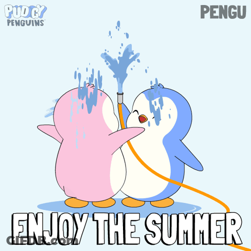 Two Penguins Enjoy The Summer GIF