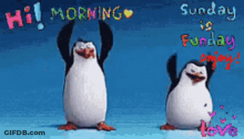 Two Penguins Hi Morning Sunday Is Sunday Enjoy GIF