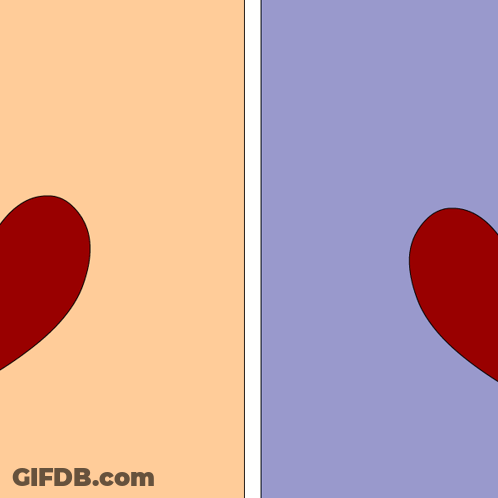 Two Penguins Holding Hearts And Kissing GIF