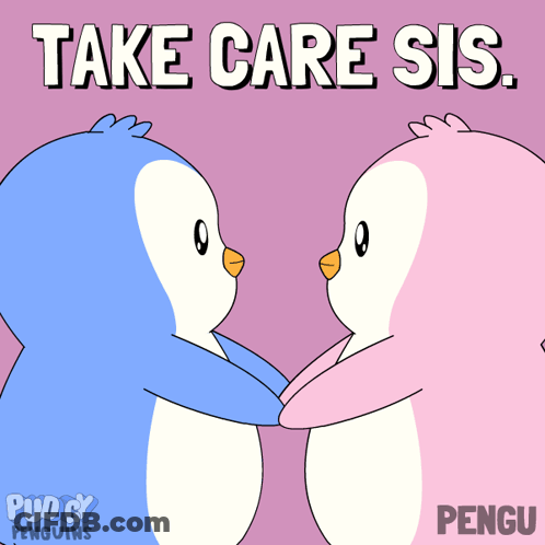 Two Penguins Hugging Take Care Sis GIF