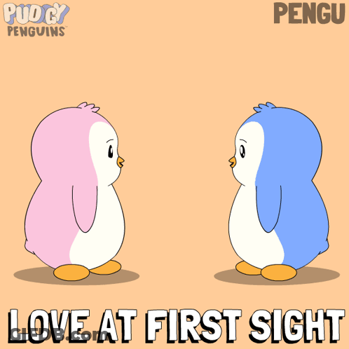 Two Penguins Kissing Love At First Sight GIF