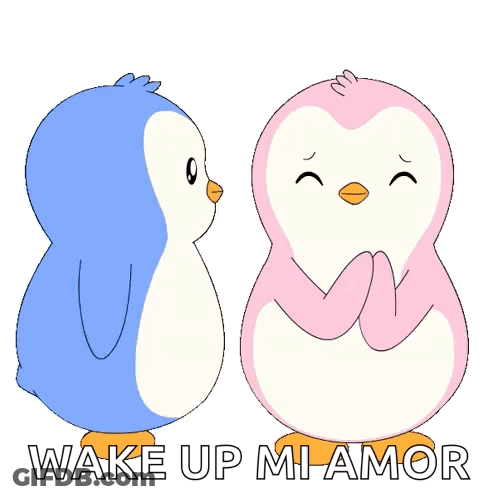 Two Penguins Kissing Saying Wake Up Mi Amor GIF