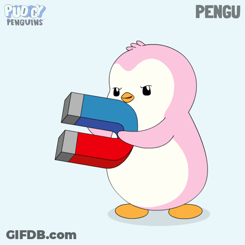 Two Penguins Named Pengu GIF