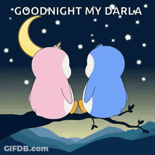 Two Penguins On Branch Saying Goodnight My Darla GIF