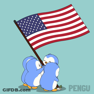 Two Penguins Raising American Flag GIF