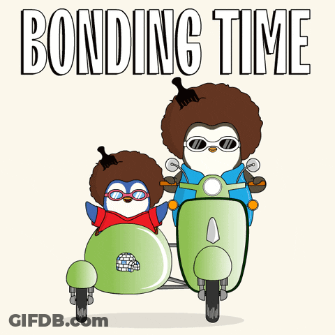 Penguins Riding Scooters Bonding Time GIF