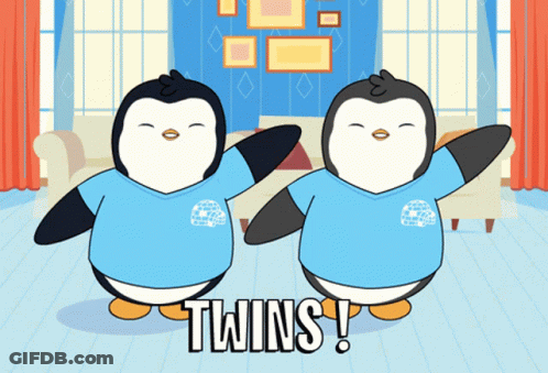 Two Penguins Saying Twins GIF