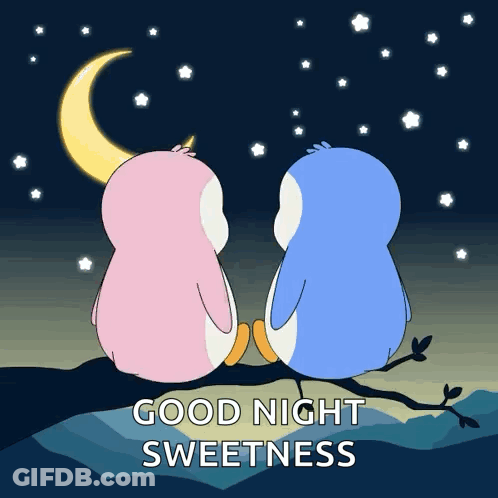 Two Penguins Sitting On Branch Saying Good Night Sweetness GIF