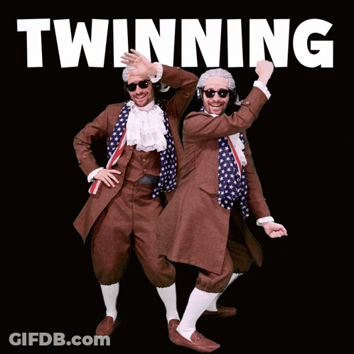 Two Penguins Wearing Helmets Dancing Twinning GIF