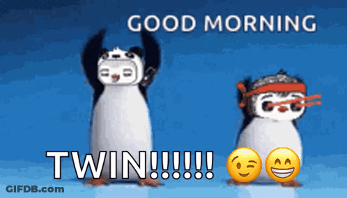 Two Penguins With Good Morning Twin GIF