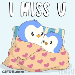 Two Penguins Wrapped In Blanket I Miss You GIF