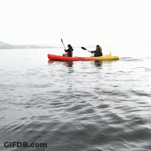 Two People In Red And Yellow Kayaks On Water GIF